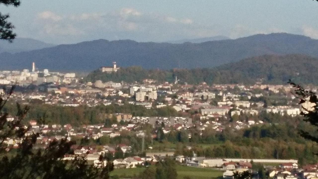 Apartma Dolomiti